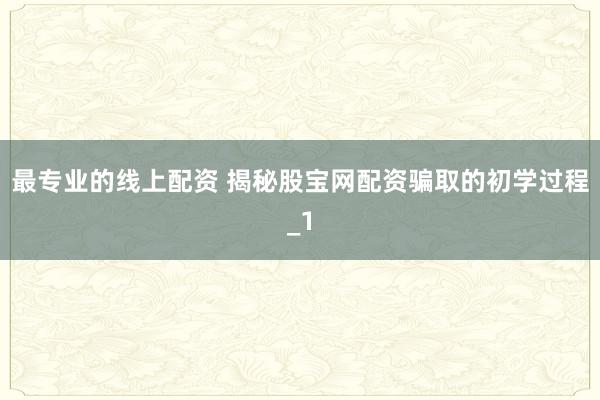最专业的线上配资 揭秘股宝网配资骗取的初学过程_1