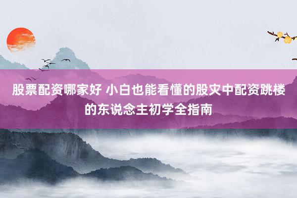 股票配资哪家好 小白也能看懂的股灾中配资跳楼的东说念主初学全指南