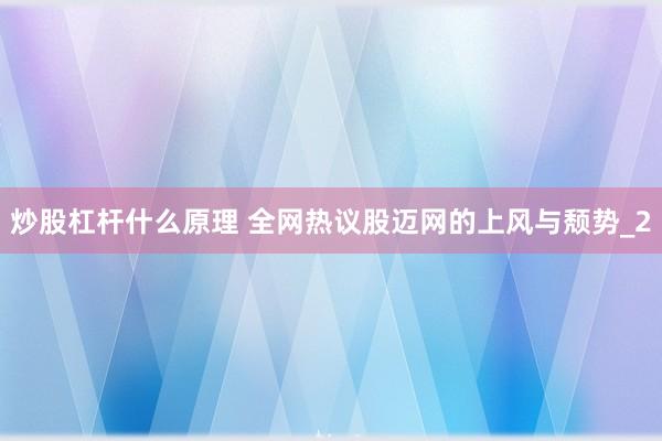 炒股杠杆什么原理 全网热议股迈网的上风与颓势_2